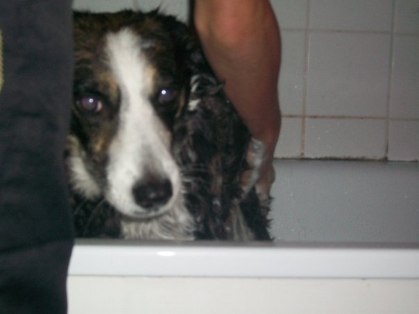 1914447_1210289627796_846509_n