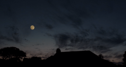 Art thou pale for weariness      Of climbing heaven and gazing on the earth, Wandering companionless       Among the stars that have a different birth, And ever changing, like a Joyless eye      That finds no object worth its constancy? (Percy Bysshe Shelley, 'To the Moon')