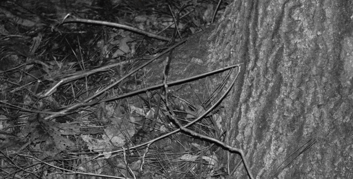 Screen Shot 2016-10-08 at 02.44.51.png