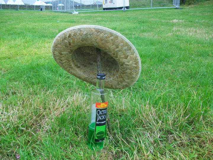 37466_1492851771673_4334863_n