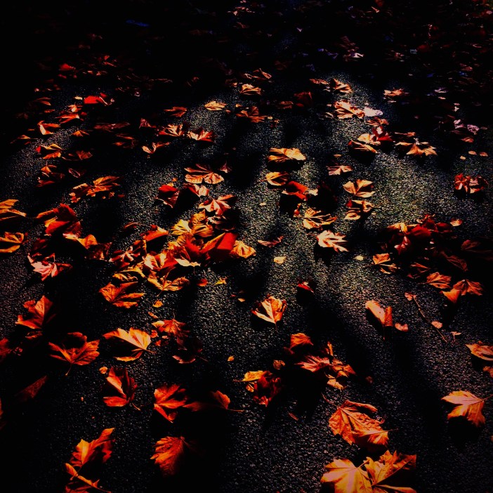 FullSizeRender 8.jpg