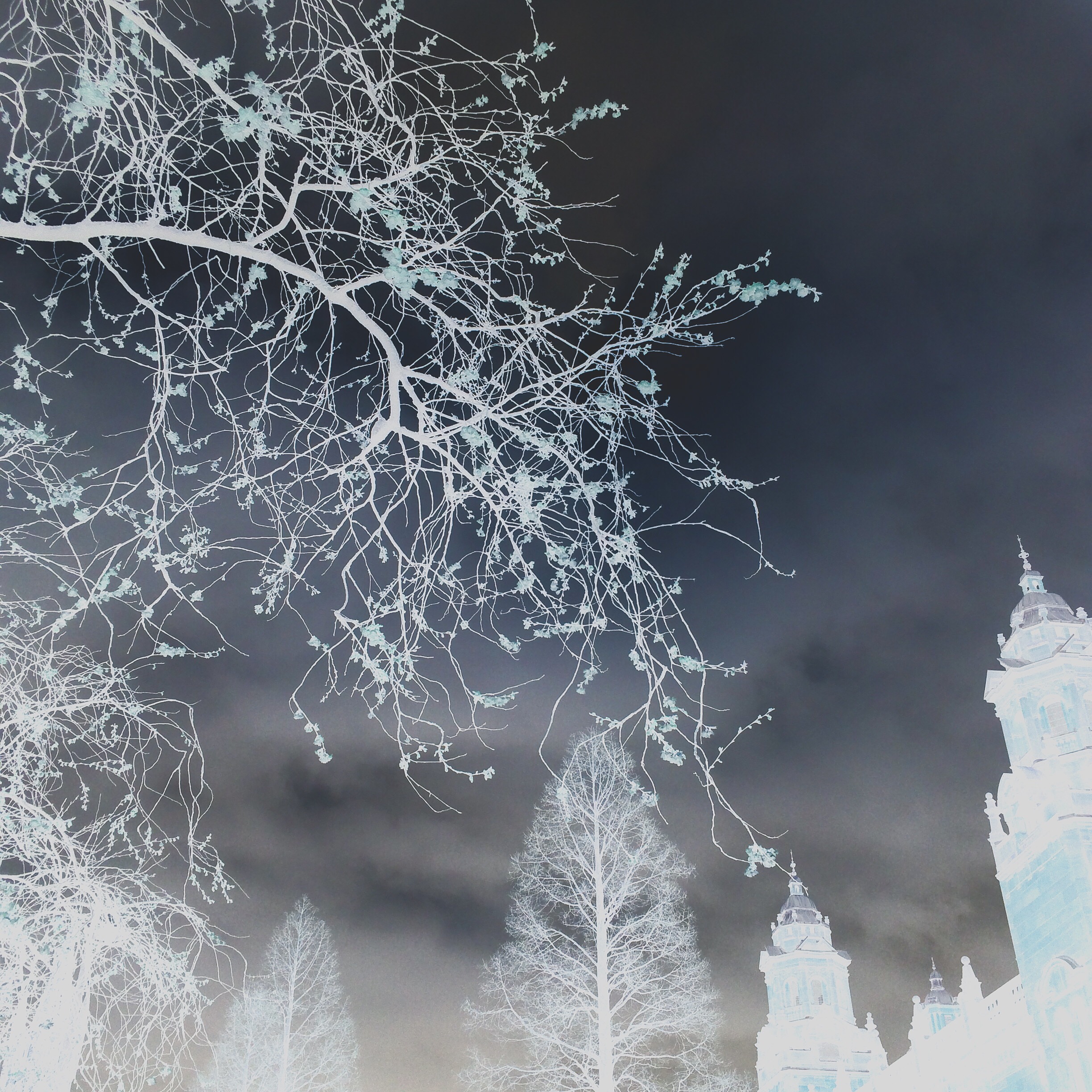 09080746-4F00-44A0-8428-241B4C4A4222