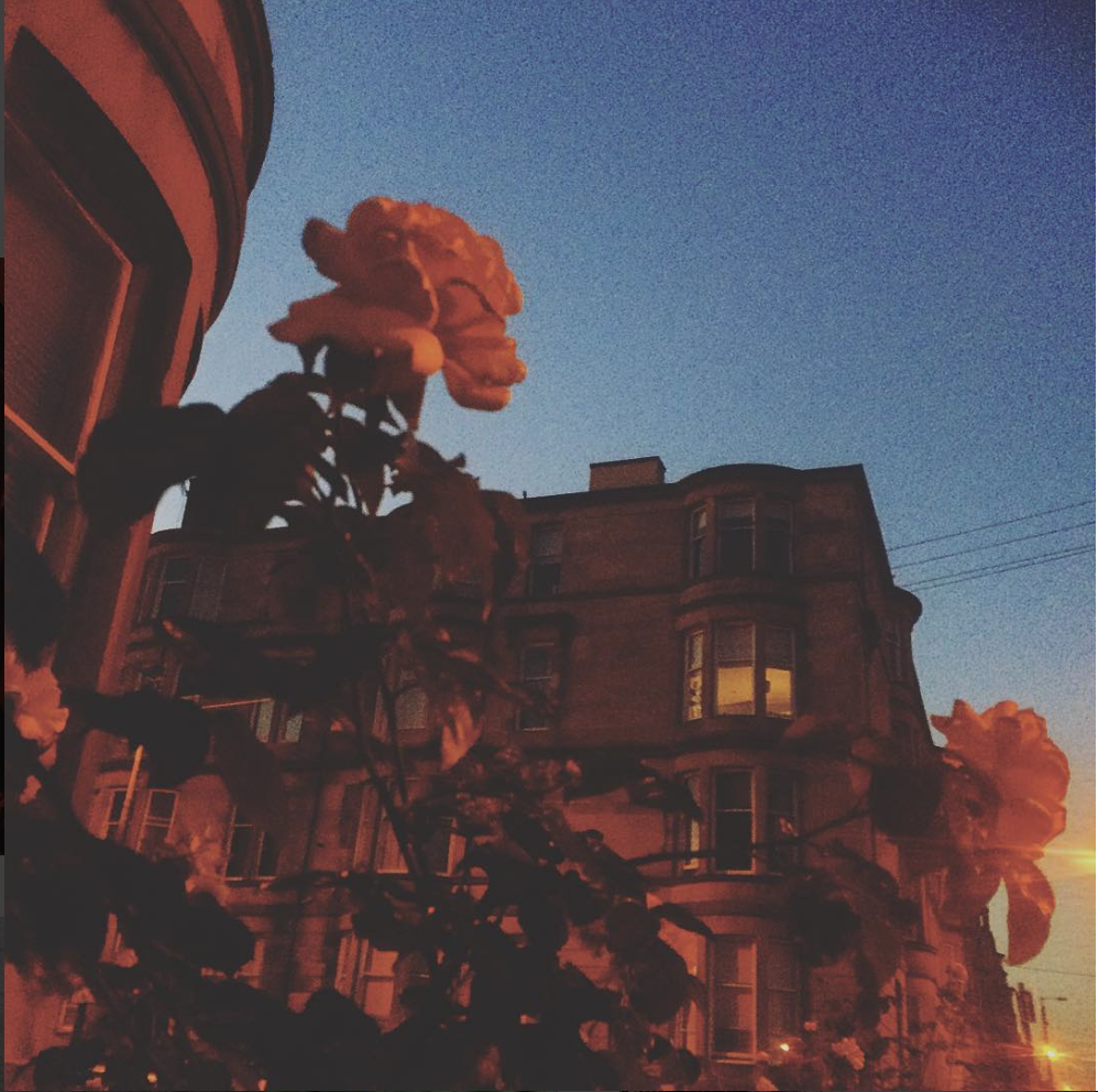 Screen Shot 2018-06-29 at 15.04.07.png