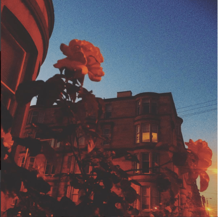 Screen Shot 2018-06-29 at 15.04.07.png