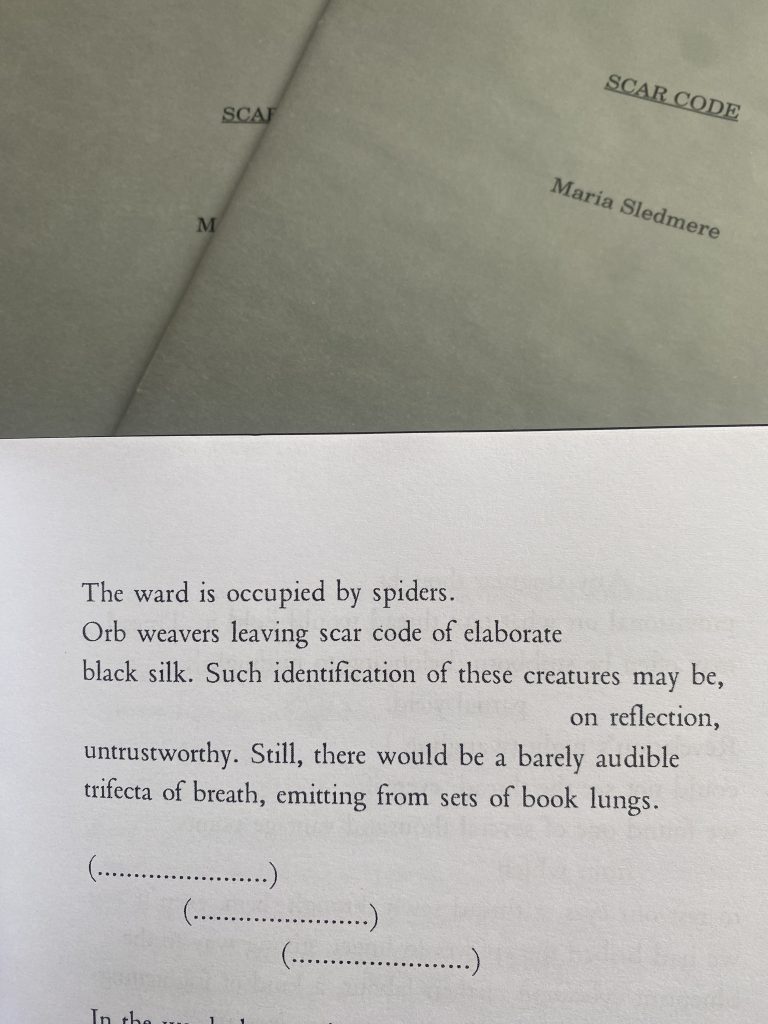 Snippet from the book